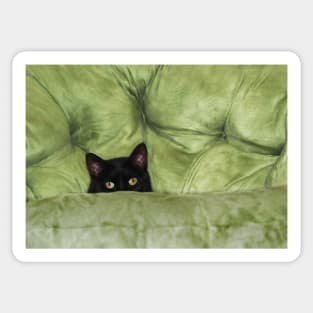 Green-Eyed Girl On Papason Chair Sticker